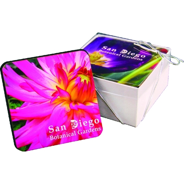 Ultra Vivid Recycled Wood Coaster Set of 4 - Ultra Vivid Recycled Wood Coaster Set of 4 - Image 1 of 1