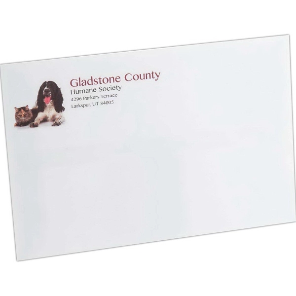 6" x 9" Mailing Envelope - Standard Gum Flap - 6" x 9" Mailing Envelope - Standard Gum Flap - Image 0 of 0