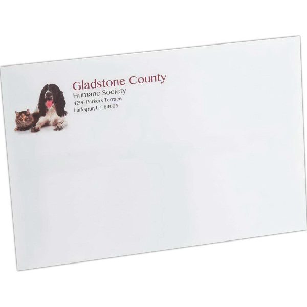 9" x 12" Mailing Envelope - Standard Gum Flap - 9" x 12" Mailing Envelope - Standard Gum Flap - Image 0 of 0