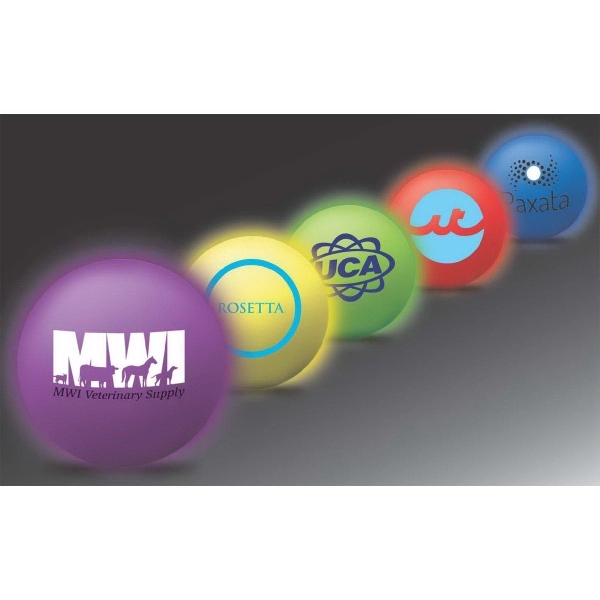 Frosted Bounce 'n Blink Lighted Ball with Two White LEDs Plum Grove