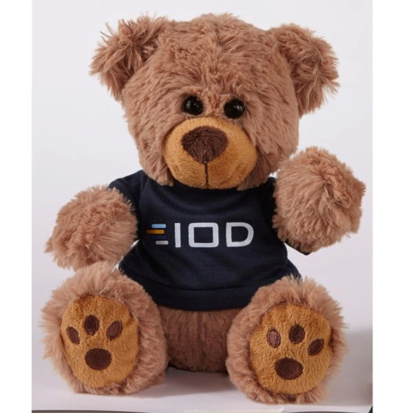 Plush Bear w/ Embroidered Paws and T-Shirt - Plush Bear w/ Embroidered Paws and T-Shirt - Image 1 of 2