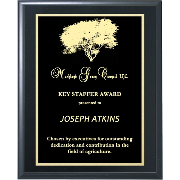 Classic Solid Black Premium Award Plaque - Classic Solid Black Premium Award Plaque - Image 0 of 2