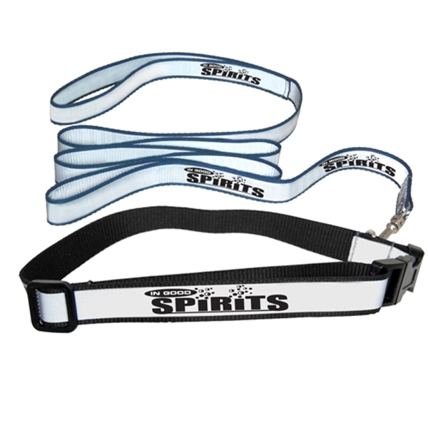 Reflective Dog Collar and Leash Set Plum Grove