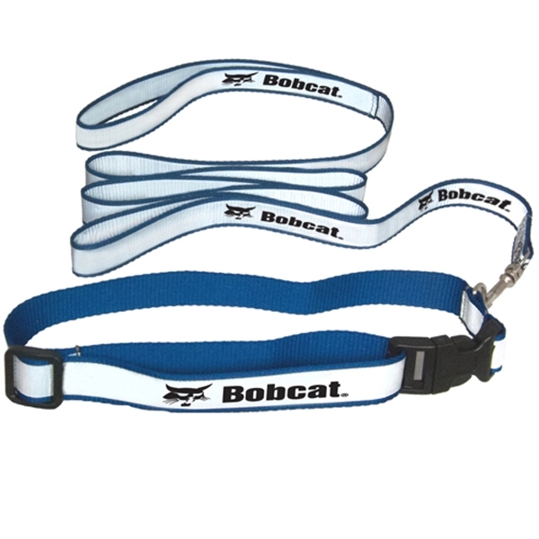 Reflective Dog Collar and Leash Set Plum Grove