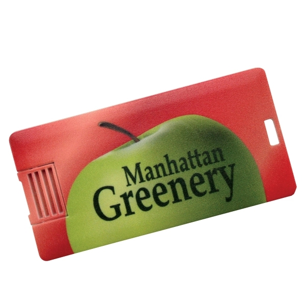 Canis Plastic Mini USB Card - Canis Plastic Mini USB Card - Image 1 of 1