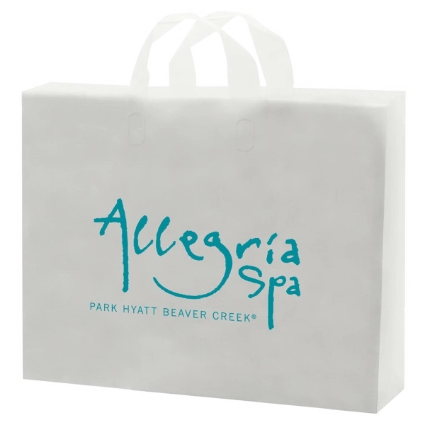 Clear Frosted Soft Loop Handle Bags - Clear Frosted Soft Loop Handle Bags - Image 0 of 0