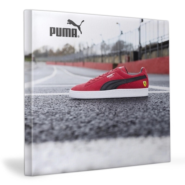 Custom Full Color Canvas Prints
