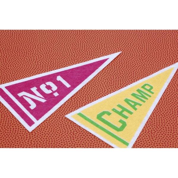 12" x 30" Wool Felt Pennant with Wood Pole - Class B - 12" x 30" Wool Felt Pennant with Wood Pole - Class B - Image 0 of 0