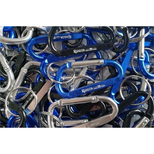 Carabiner Keychain - Carabiner Keychain - Image 1 of 1