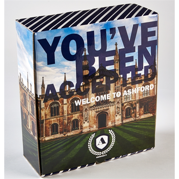 FULL COLOR CUSTOM BOXES (For Presentations, Gifts & Mailers) - FULL COLOR CUSTOM BOXES (For Presentations, Gifts & Mailers) - Image 9 of 16