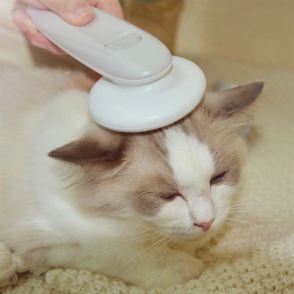 Pet Hair Brush for Dog/Cat - Pet Hair Brush for Dog/Cat - Image 1 of 4