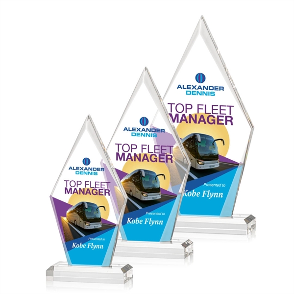Palmer VividPrint™ Award - Palmer VividPrint™ Award - Image 0 of 7