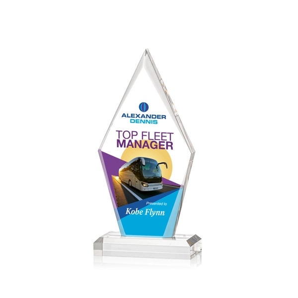 Palmer VividPrint™ Award - Palmer VividPrint™ Award - Image 2 of 7