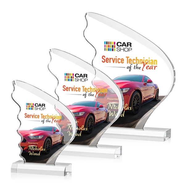 Acheson VividPrint™ Award - Acheson VividPrint™ Award - Image 0 of 7