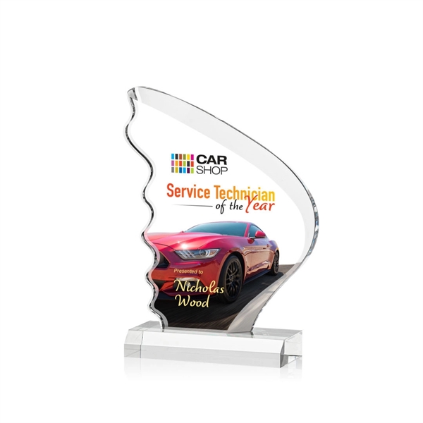 Acheson VividPrint™ Award - Acheson VividPrint™ Award - Image 3 of 7