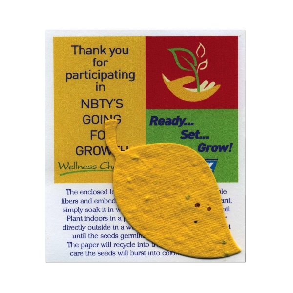 Premium MiniShape - Premium MiniShape - Image 13 of 42