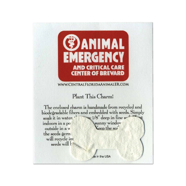 Premium MiniShape - Premium MiniShape - Image 17 of 42