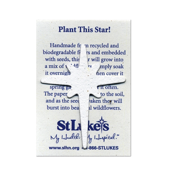 Premium MiniShape - Premium MiniShape - Image 27 of 42