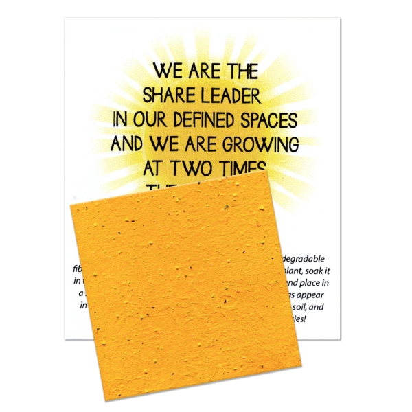 Premium MiniShape - Premium MiniShape - Image 31 of 42