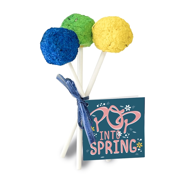 Seed Pop Bouquet - Seed Pop Bouquet - Image 0 of 2