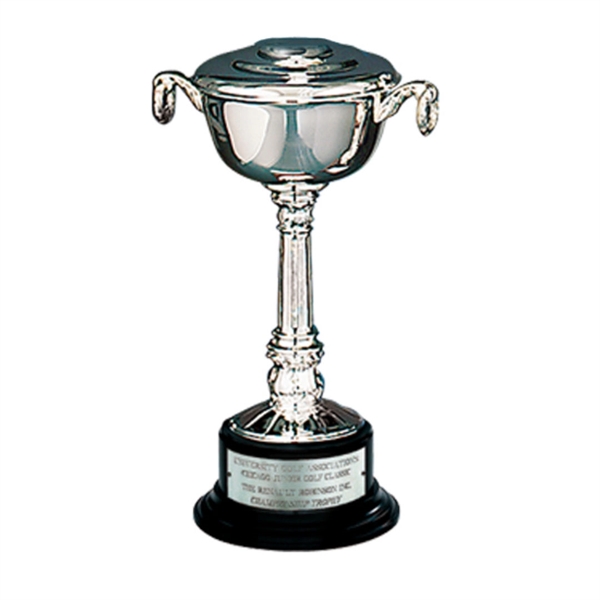 Silver-Plated Pedestal Bowl Cup - Silver-Plated Pedestal Bowl Cup - Image 1 of 1