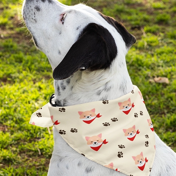 Pet Hemmed Bandana Full Color - Pet Hemmed Bandana Full Color - Image 2 of 2