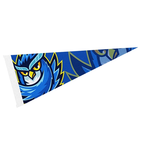 Full Color Felt Pennant - Full Color Felt Pennant - Image 1 of 4