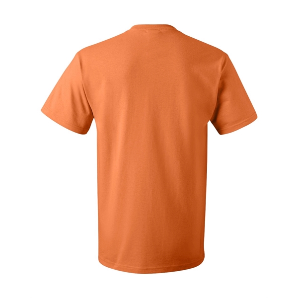 Fruit of the Loom HD Cotton Short Sleeve T-Shirt - Fruit of the Loom HD Cotton Short Sleeve T-Shirt - Image 55 of 84