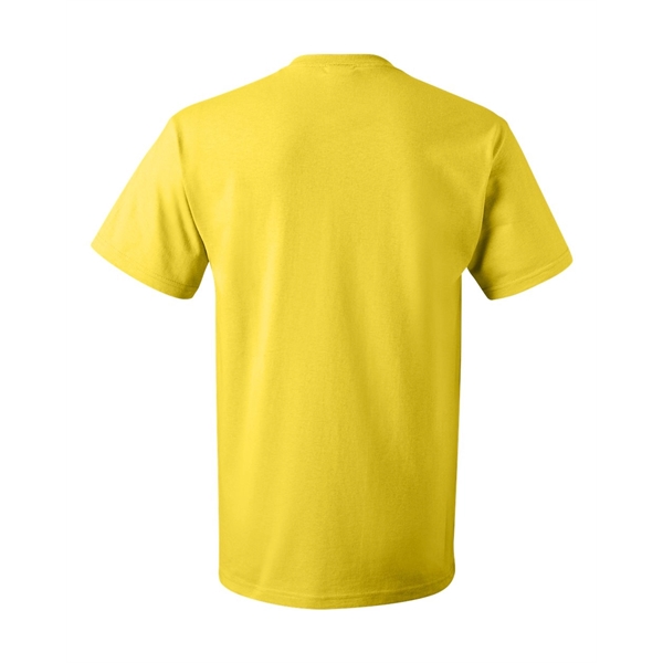 Fruit of the Loom HD Cotton Short Sleeve T-Shirt - Fruit of the Loom HD Cotton Short Sleeve T-Shirt - Image 69 of 84