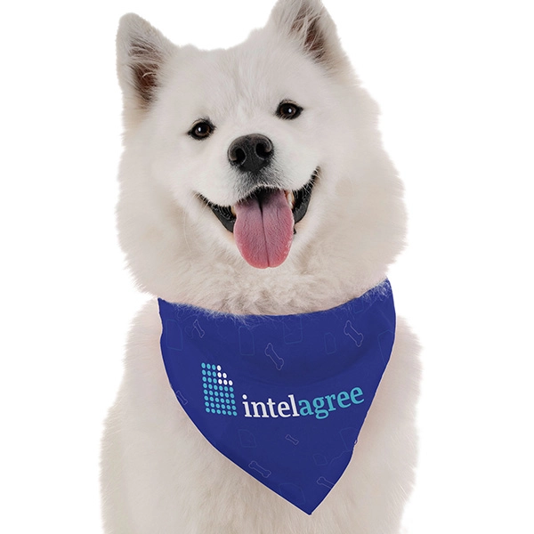 Bandoggies™ Pet Bandanna - Bandoggies™ Pet Bandanna - Image 0 of 0
