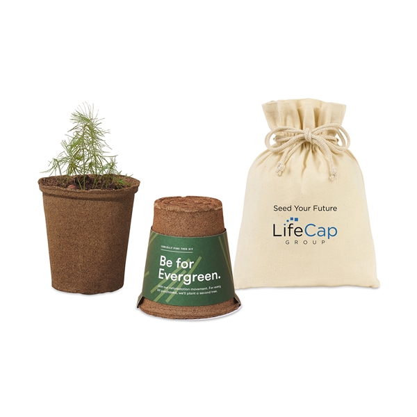 Modern Sprout® One For One Tree Kits - Modern Sprout® One For One Tree Kits - Image 1 of 7