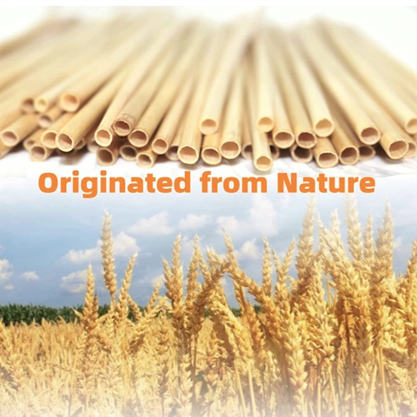 Nature Wheat Straws - Nature Wheat Straws - Image 1 of 3