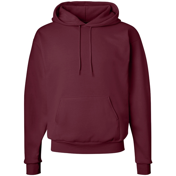 Hanes Ecosmart Hooded Sweatshirt - Hanes Ecosmart Hooded Sweatshirt - Image 4 of 27