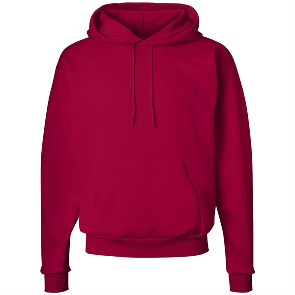 Hanes Ecosmart Hooded Sweatshirt - Hanes Ecosmart Hooded Sweatshirt - Image 8 of 27