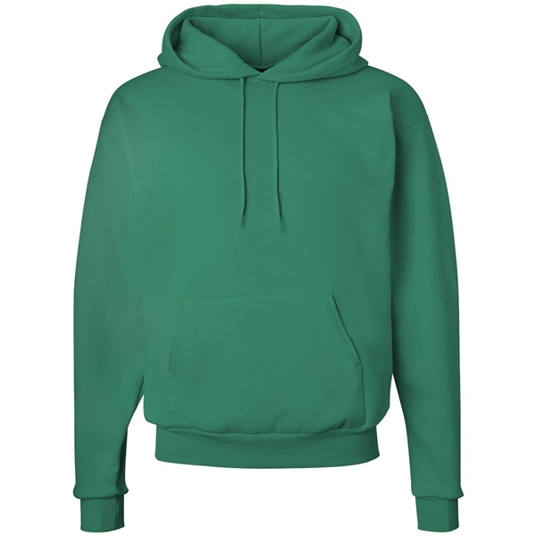 Hanes Ecosmart Hooded Sweatshirt - Hanes Ecosmart Hooded Sweatshirt - Image 16 of 27