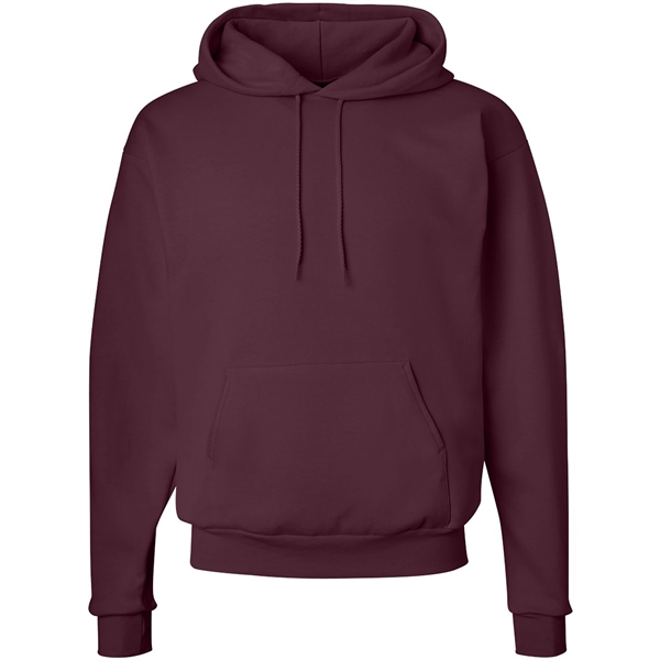 Hanes Ecosmart Hooded Sweatshirt - Hanes Ecosmart Hooded Sweatshirt - Image 19 of 27