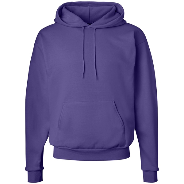 Hanes Ecosmart Hooded Sweatshirt - Hanes Ecosmart Hooded Sweatshirt - Image 21 of 27