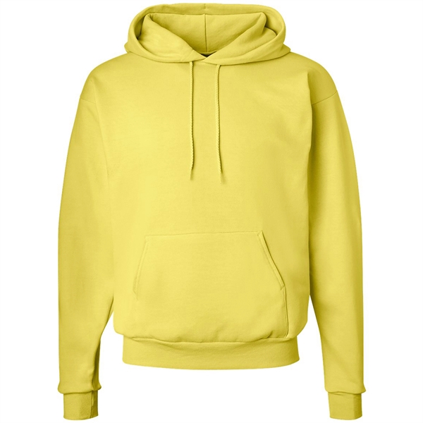 Hanes Ecosmart Hooded Sweatshirt - Hanes Ecosmart Hooded Sweatshirt - Image 27 of 27