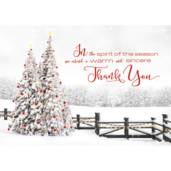 Seasonal Spirit Holiday Cards - Seasonal Spirit Holiday Cards - Image 0 of 0