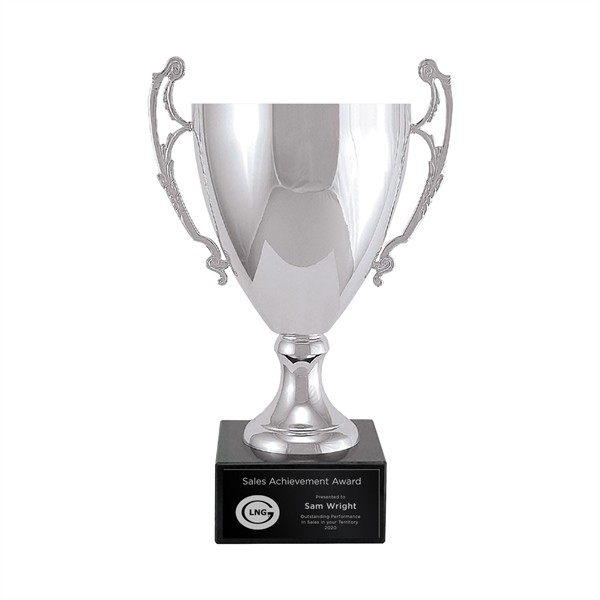 Metal Trophy Cup - Small - Metal Trophy Cup - Small - Image 0 of 0