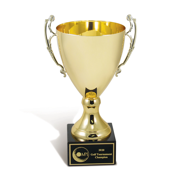 Metal Trophy Cup - Large - Metal Trophy Cup - Large - Image 0 of 0