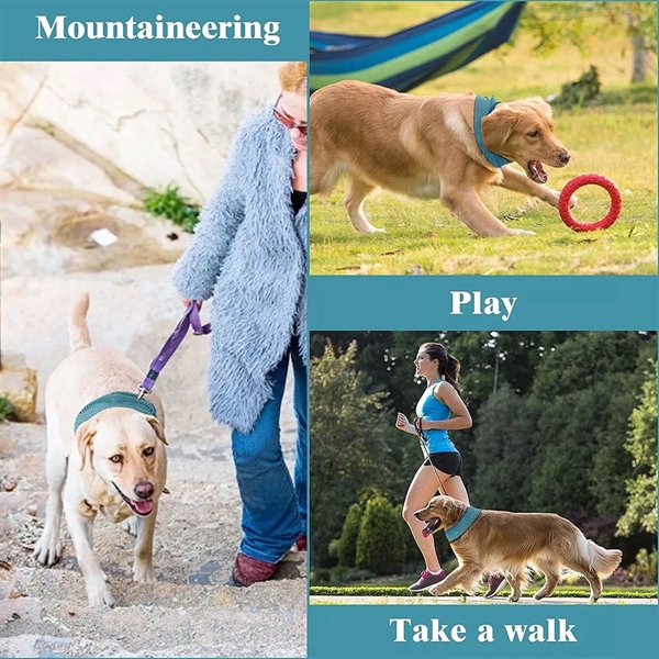 Pet Cooling Bandana - Pet Cooling Bandana - Image 3 of 3