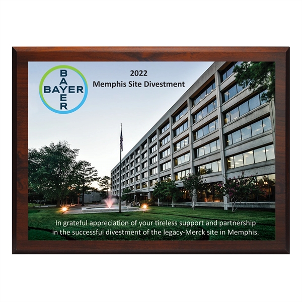 Digi-Color Direct Plaque