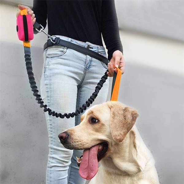 Dog Poop Bag Dispenser - Dog Poop Bag Dispenser - Image 1 of 3