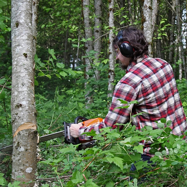 Safety Ear Muffs - Safety Ear Muffs - Image 3 of 6