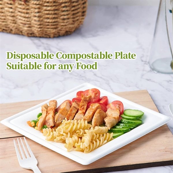 Biodegradable Disposable Square Plates - Biodegradable Disposable Square Plates - Image 1 of 2