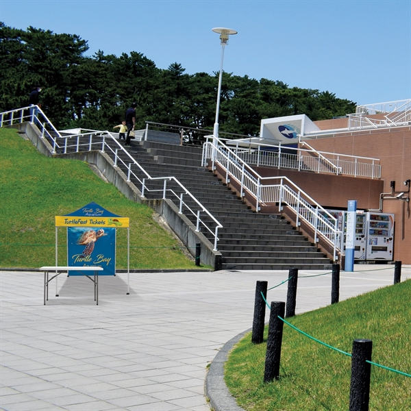 6.5' Square Tent With One Full Double Sided Wall - 6.5' Square Tent With One Full Double Sided Wall - Image 13 of 15