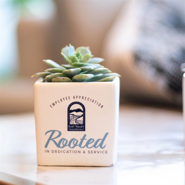 Appreciation Gift Kit- Succulent Plant with Ceramic Pot - Appreciation Gift Kit- Succulent Plant with Ceramic Pot - Image 2 of 7