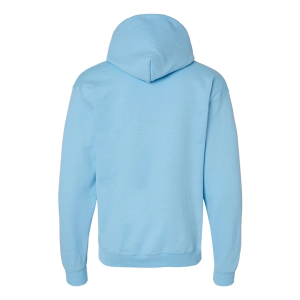 Hanes Ecosmart® Hooded Sweatshirt - Hanes Ecosmart® Hooded Sweatshirt - Image 40 of 145