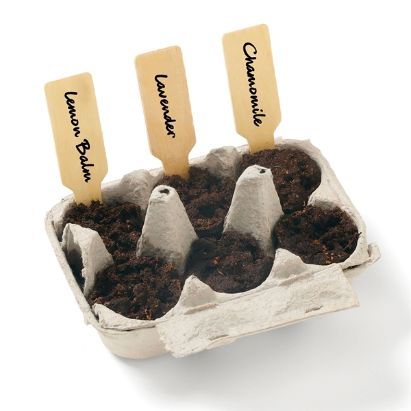 Zen Garden Grow Kit - Zen Garden Grow Kit - Image 1 of 4